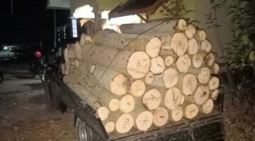 Pelaku Illegal logging Diduga Memakai Sarana Mobil Milik Pemerintah Desa