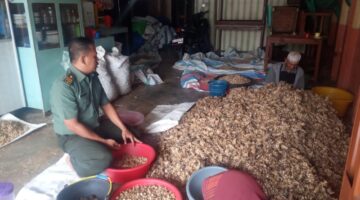 Anggota Koramil 02/Rikit Gaib Lakukan Pendampingan Kepada Petani di desa Binaan