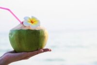 Ilustrasi Foto Minum Kelapa Muda, PT Yoona Digital Indonesia (Sumber: VRITIMES.com)