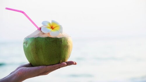 Ilustrasi Foto Minum Kelapa Muda, PT Yoona Digital Indonesia (Sumber: VRITIMES.com)