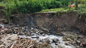 Akses Jalan Pepantang Putus Total Masyarakat Terpaksa Terobos Kebun Warga.