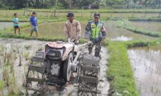 berita-pilihan-foto