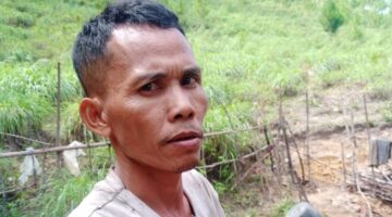 Harga Minyak Sere Stabil, Petani Gayo Lues Tagih Komitmen Pemerintah Jaga Nilai Jual