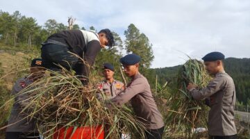 Brimob Aceh Kembangkan Rumah Karya Penyulingan Minyak Sere Wangi di Gayo Lues