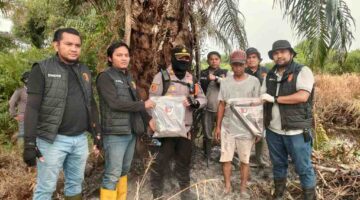 Polisi Tangkap Pria Usai Satu Hektare Lahan Sawit Terbakar Tak Terkendali
