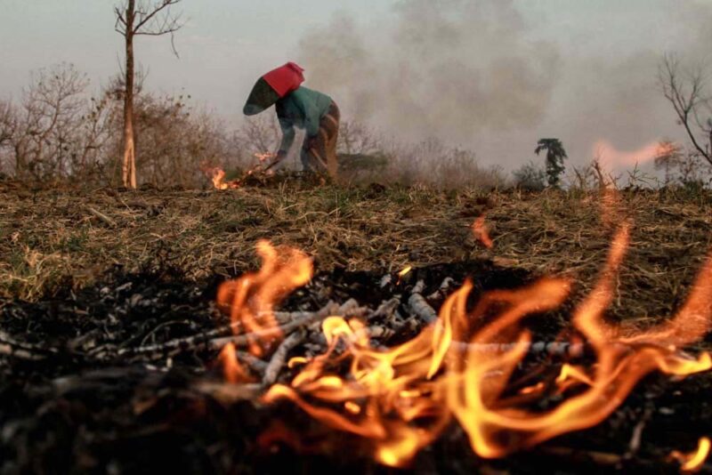 Petani menyiapkan lahan untuk ditanami jagung di Sendangharjo, Kecamatan Brondong, Kabupaten Lamongan, Jawa Timur. Foto: Falahi Mubarok/ Mongabay Indonesia