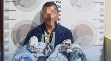 Petani Asal Aceh Utara Ditangkap di Bener Meriah, Bawa 2,3 Kg Ganja dalam Karung