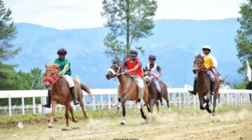 24 Kuda Pacu Asal Bener Meriah Melaju ke Grand Final Pacuan Kuda Gayo