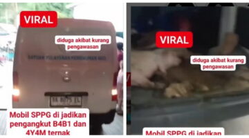 Gunakan Label Resmi untuk Angkut Ayam dan Babi, BGN Lapor Polisi