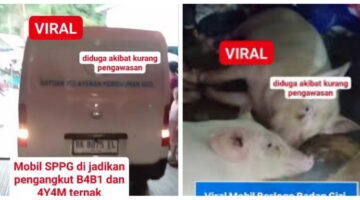Viral di Medsos, Mobil Berlabel BGN Digunakan untuk Angkut Ayam dan Babi
