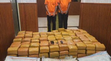 Polda Sumut Gagalkan Penyelundupan 255 Kilogram Ganja, Dua Kurir Asal Aceh Diamankan