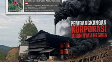 Pembangkangan PT Rosin: Ujian Nyali Negara di Tengah Hutan Gayo Lues