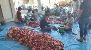 Patungan Beli Sapi, Warga Pasar Simpang Tiga Lestarikan Tradisi Kuah Belangong Saat Idul Adha