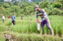 Keterangan poto: cara sederhana cegah sengketa tanah dengan tetangga