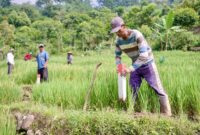 Keterangan poto: cara sederhana cegah sengketa tanah dengan tetangga