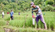 Keterangan poto: cara sederhana cegah sengketa tanah dengan tetangga