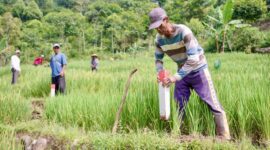 Keterangan poto: cara sederhana cegah sengketa tanah dengan tetangga