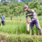 Keterangan poto: cara sederhana cegah sengketa tanah dengan tetangga