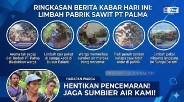 PT Palma Sumber Lestari di Pasangkayu: Dugaan Kejahatan Lingkungan di Balik Aroma Bisnis Sawit