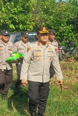 berita-rekomendasi-foto