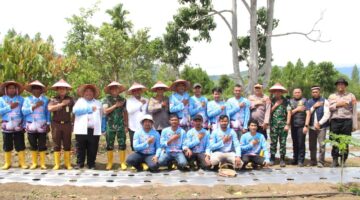 Kapolres Gayo Lues Bersama Forkopimda Ikuti Penanaman Bawang Putih Serentak