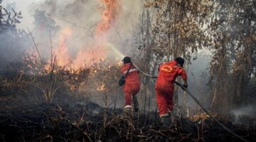Penanganan Karhutla Harus Lebih Nyata, Negara Tidak Boleh Kalah oleh Api