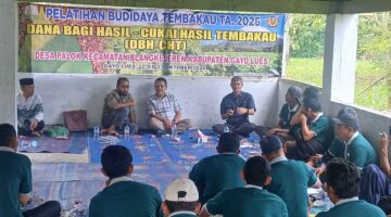 Ridwansyah Dorong Petani Kopi di Gayo Lues Kembangkan Tembakau dengan Pola Tumpang Sari