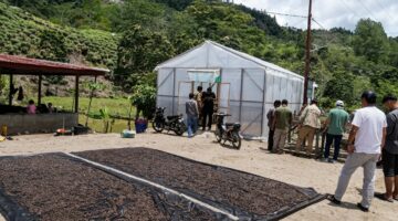 Masyarakat Agusen Bertahan Pasca-Banjir dengan Andalan Komoditas Kopi